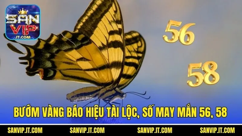 Bướm vàng báo hiệu tài lộc, số may mắn 56, 58